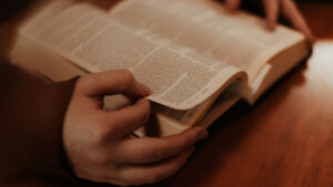 cómo se organiza la biblia