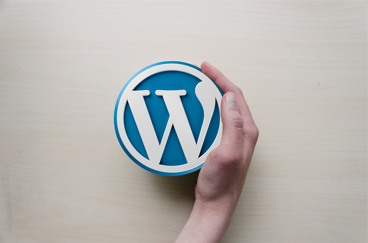 qué es un plugin en WordPress